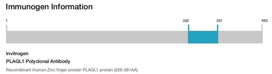 PLAGL1 Polyclonal Antibody