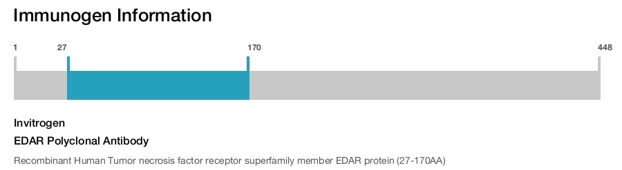 EDAR Polyclonal Antibody