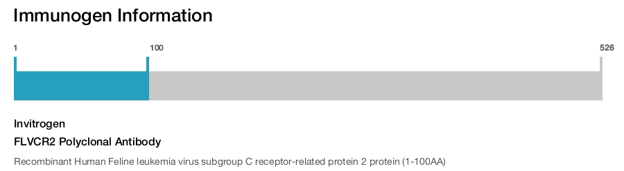 FLVCR2 Polyclonal Antibody