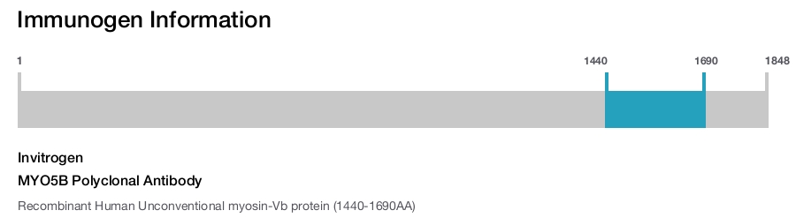 MYO5B Polyclonal Antibody