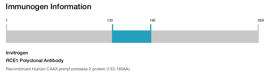 RCE1 Polyclonal Antibody