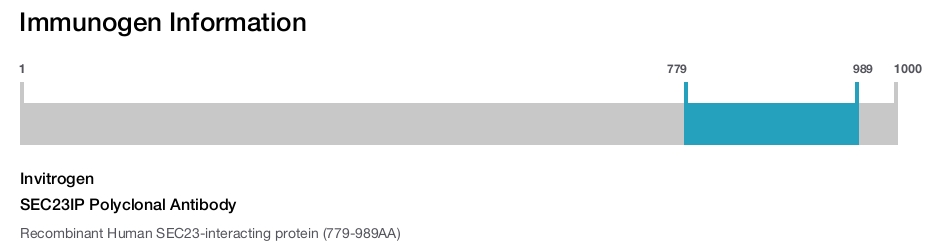 SEC23IP Polyclonal Antibody