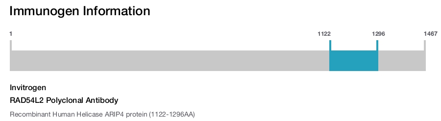 RAD54L2 Polyclonal Antibody