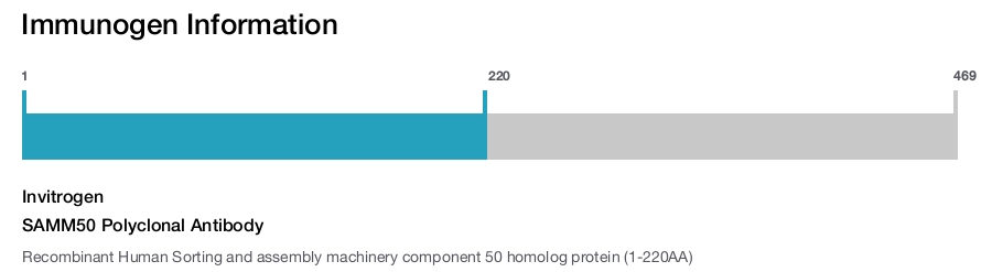 SAMM50 Polyclonal Antibody