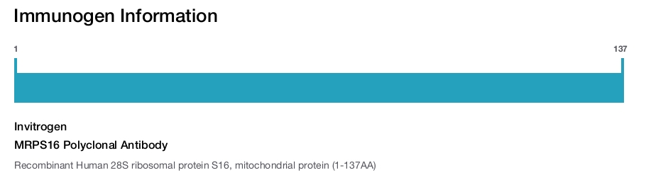 MRPS16 Polyclonal Antibody