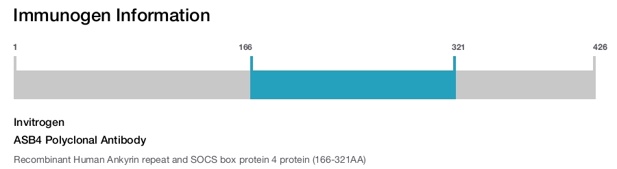 ASB4 Polyclonal Antibody