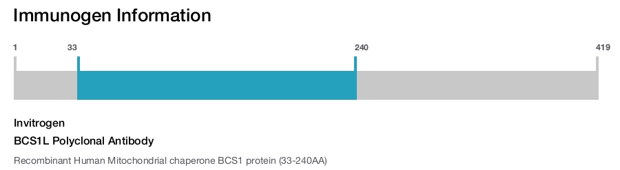 BCS1L Polyclonal Antibody