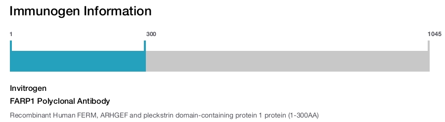 FARP1 Polyclonal Antibody