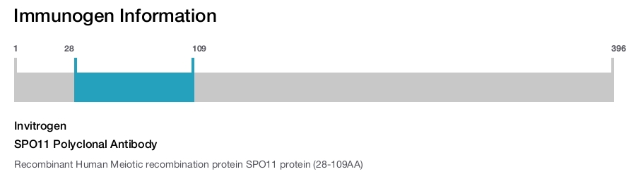 SPO11 Polyclonal Antibody