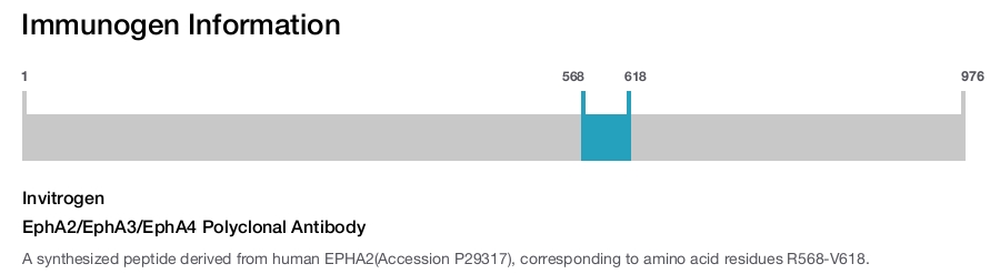 EphA2/EphA3/EphA4 Polyclonal Antibody