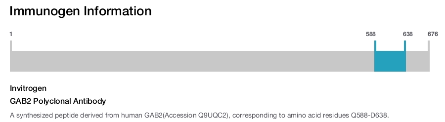 GAB2 Polyclonal Antibody