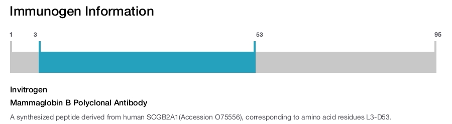 Mammaglobin B Polyclonal Antibody