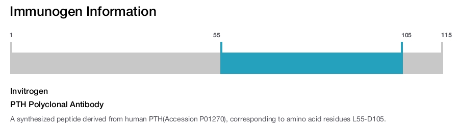 PTH Polyclonal Antibody