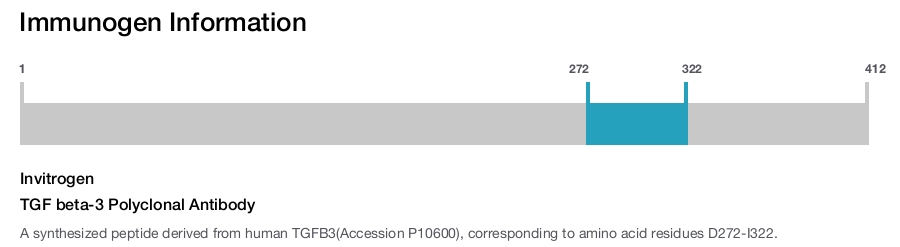 TGF beta-3 Polyclonal Antibody