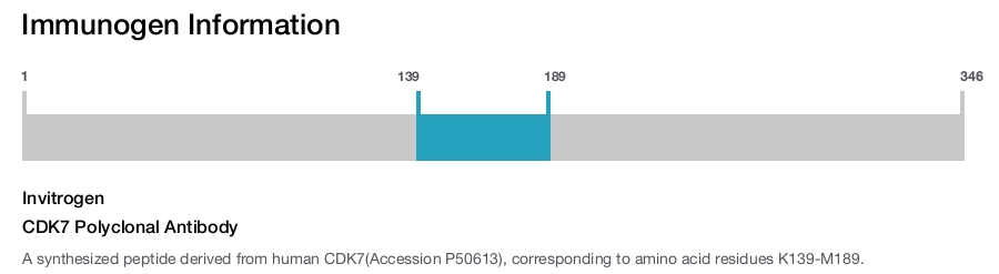CDK7 Polyclonal Antibody