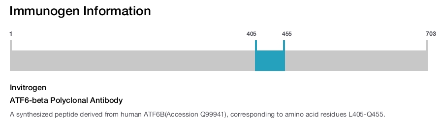 ATF6-beta Polyclonal Antibody