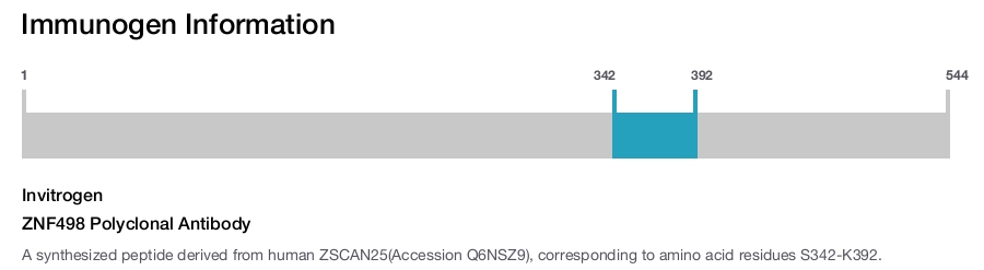 ZNF498 Polyclonal Antibody