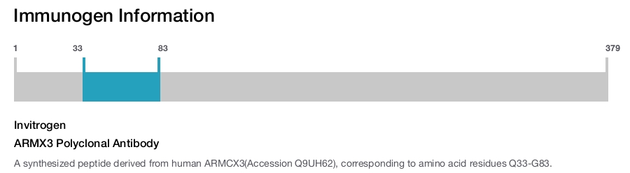 ARMX3 Polyclonal Antibody