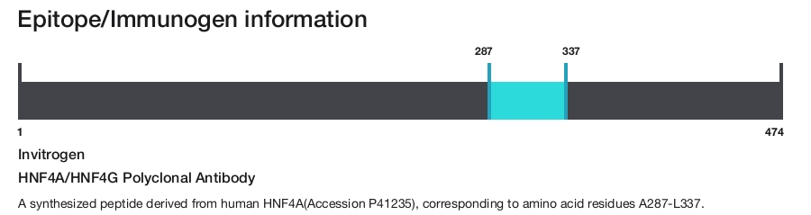 HNF4A/HNF4G Polyclonal Antibody