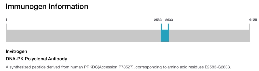 DNA-PK Polyclonal Antibody