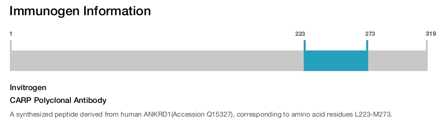 CARP Polyclonal Antibody