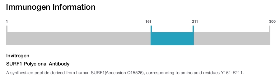 SURF1 Polyclonal Antibody