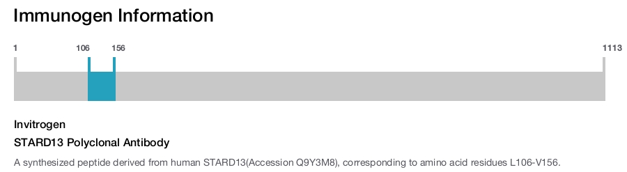 STARD13 Polyclonal Antibody
