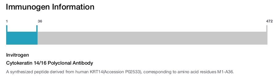 Cytokeratin 14/16 Polyclonal Antibody