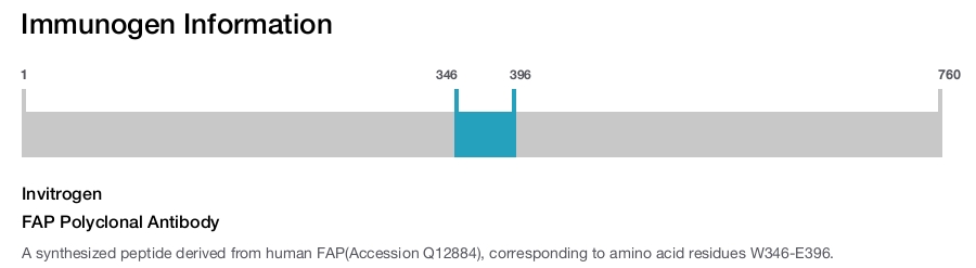 FAP Polyclonal Antibody