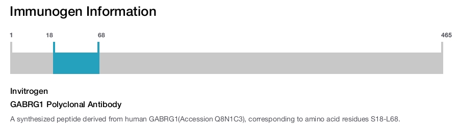 GABRG1 Polyclonal Antibody