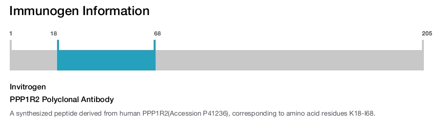 PPP1R2 Polyclonal Antibody