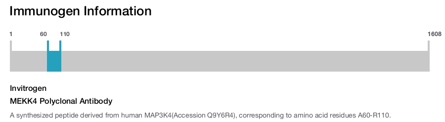 MEKK4 Polyclonal Antibody