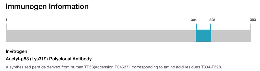 Acetyl-p53 (Lys319) Polyclonal Antibody