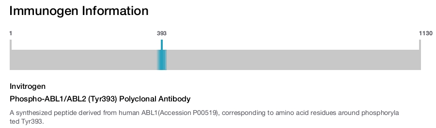 Phospho-ABL1/ABL2 (Tyr393) Polyclonal Antibody