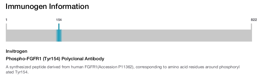 Phospho-FGFR1 (Tyr154) Polyclonal Antibody