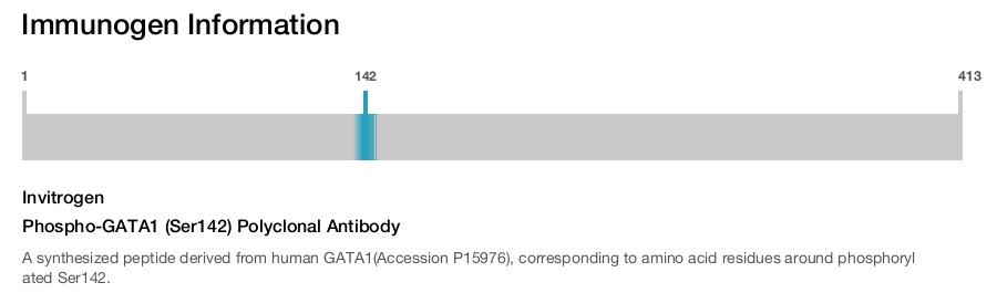 Phospho-GATA1 (Ser142) Polyclonal Antibody