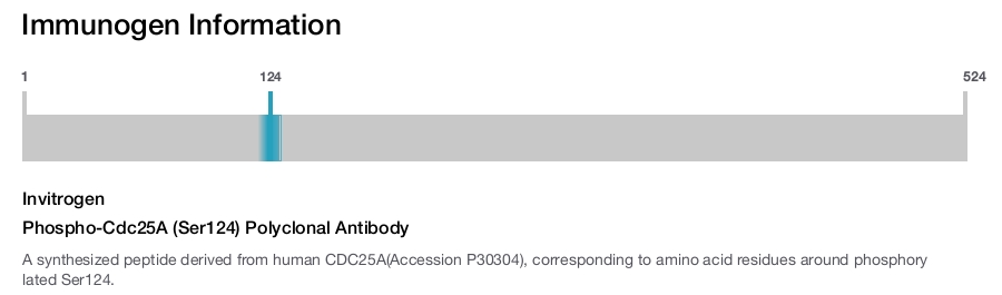 Phospho-Cdc25A (Ser124) Polyclonal Antibody