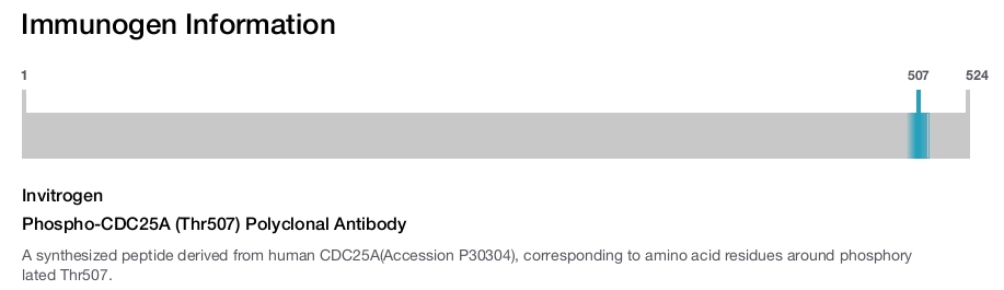 Phospho-CDC25A (Thr507) Polyclonal Antibody
