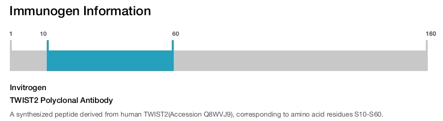 TWIST2 Polyclonal Antibody