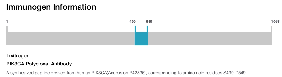 PIK3CA Polyclonal Antibody