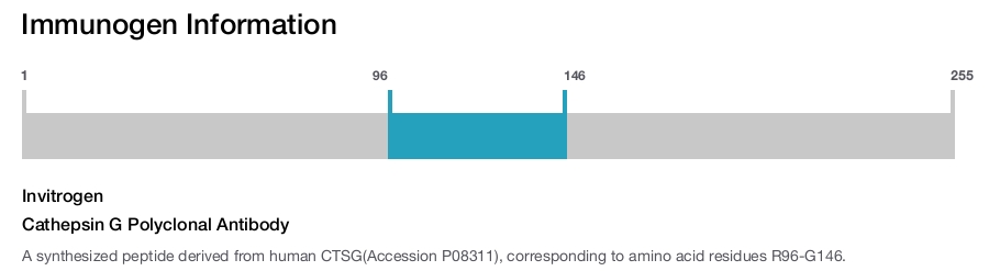 Cathepsin G Polyclonal Antibody