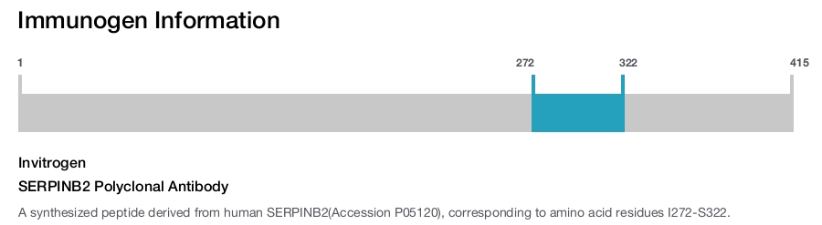 SERPINB2 Polyclonal Antibody