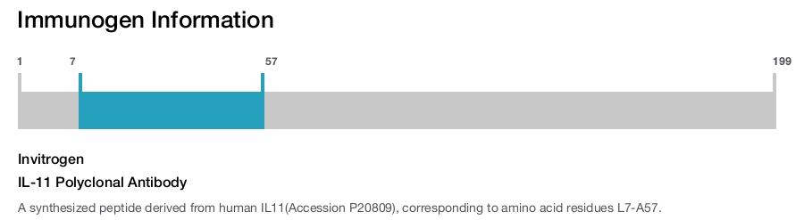 IL-11 Polyclonal Antibody