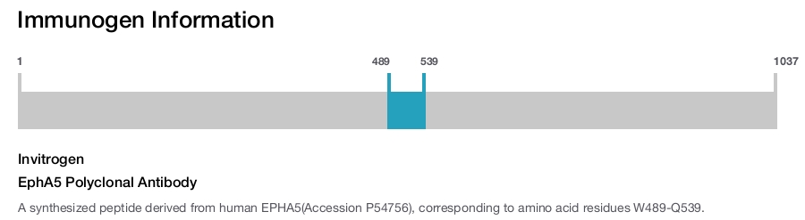 EphA5 Polyclonal Antibody
