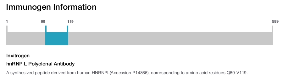 hnRNP L Polyclonal Antibody