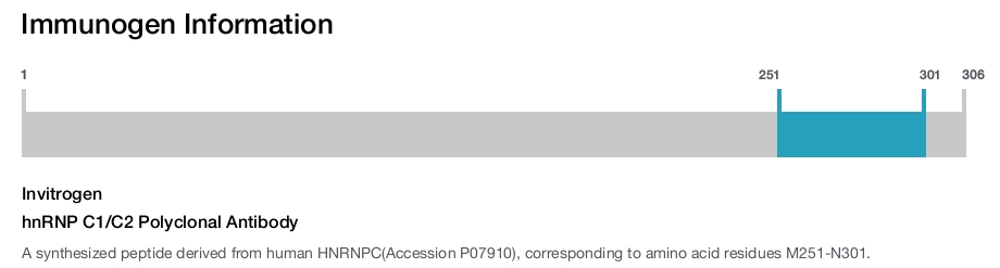 hnRNP C1/C2 Polyclonal Antibody