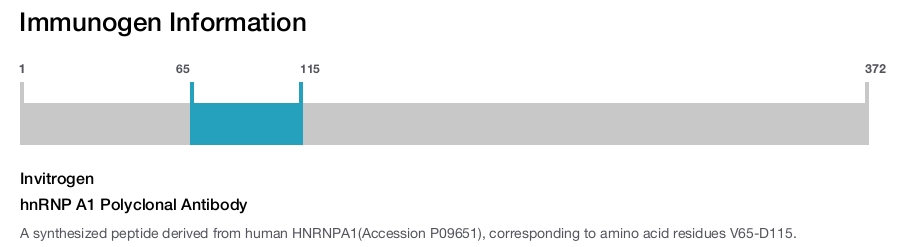 hnRNP A1 Polyclonal Antibody