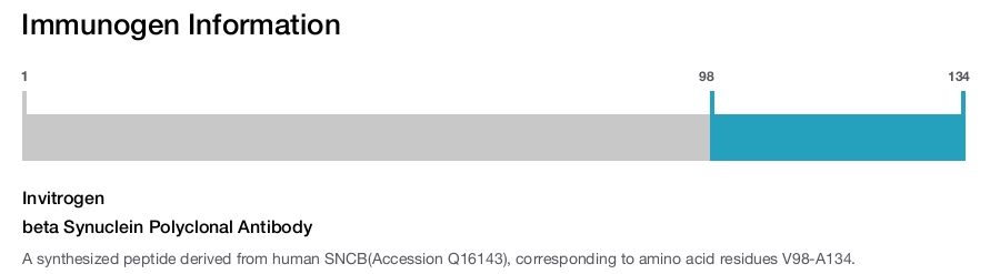 beta Synuclein Polyclonal Antibody