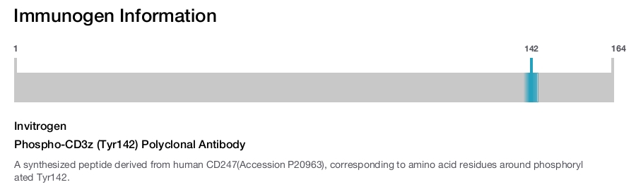Phospho-CD3z (Tyr142) Polyclonal Antibody