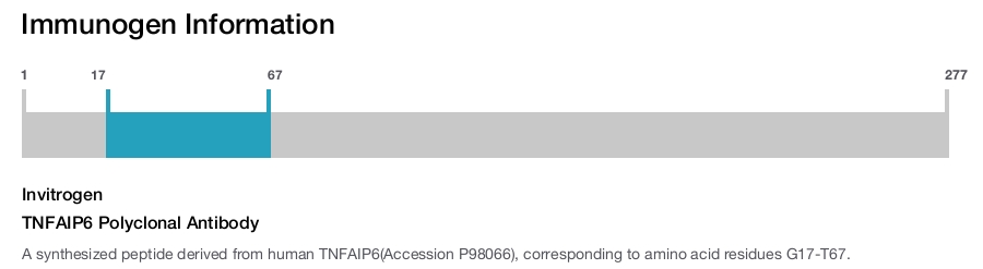 TNFAIP6 Polyclonal Antibody